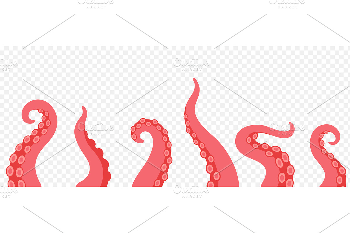 Squid tentacles with suction cups, an Animal Illustration by GraphiShop
