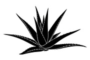 Floral Ornament Silhouette Bundle, an Illustration by BIPLOB EXPERT (Thumbnail 40 of 51)