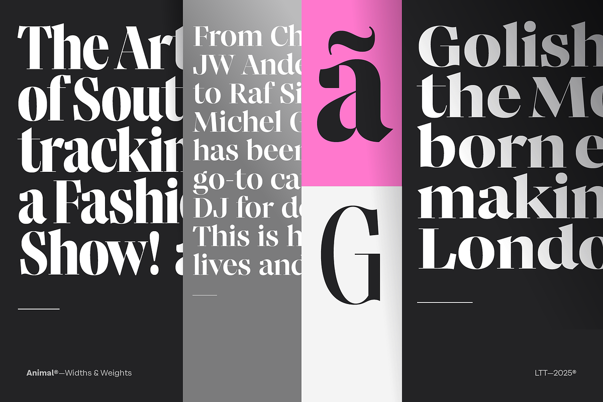 Animal, a Serif Font by Latinotype (Photo 12 of 14)