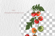 Oil Pastel Whimsical Tomatoes Set, a Food Illustration by Oleksandra Illustrates (Thumbnail 2 of 16)