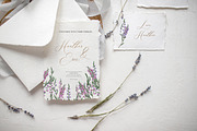Watercolor Heather illustrations, an Illustration by Olga Koelsch (Thumbnail 2 of 13)