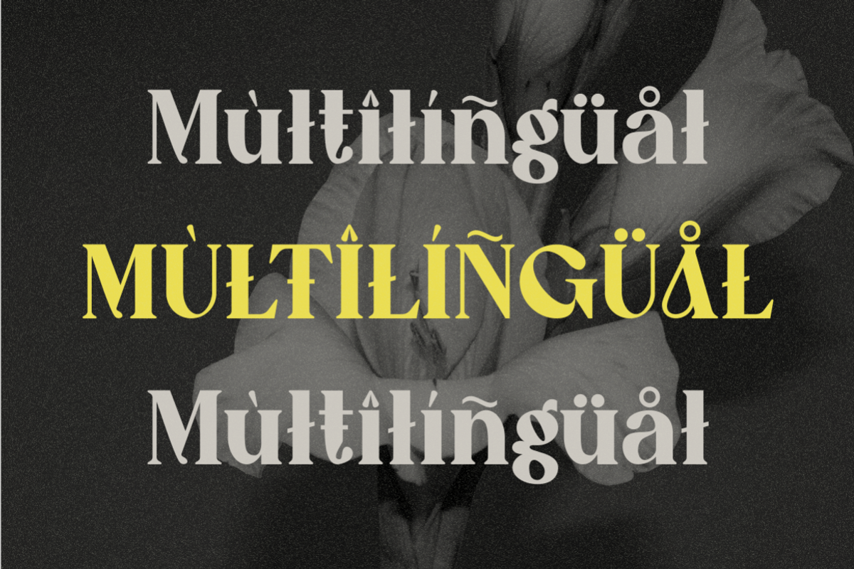 Caooli - Elegant Serif Font, a Serif Font by MaikoHatta (Photo 7 of 8)