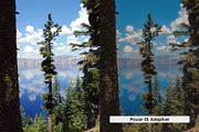 20 Vintage Nature Lightroom Presets, a Preset Add-On by SparkleStock (Thumbnail 9 of 17)