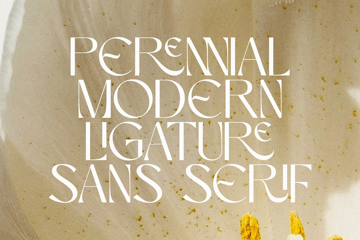 Perennial - Elegant & Ligature Sans, a Sans Serif Font by Mikhail Kitsune (Photo 2 of 9)