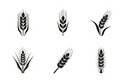 Wild Grass & Grain Vector Set, an Illustration by BIPLOB EXPERT (Thumbnail 7 of 9)