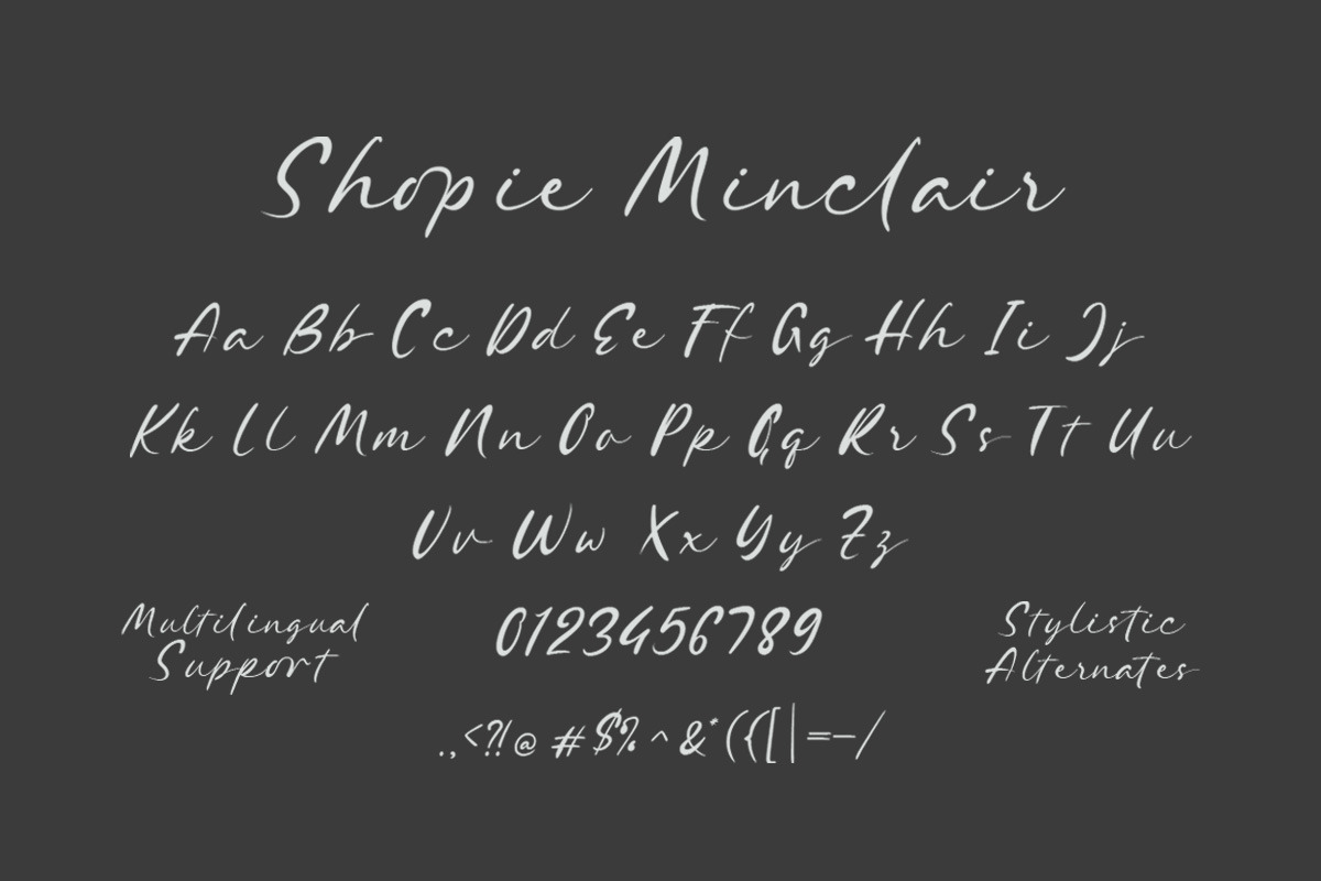 Shopie Minclair - Signature Script, a Script Font by Letterhend Studio (Photo 5 of 9)