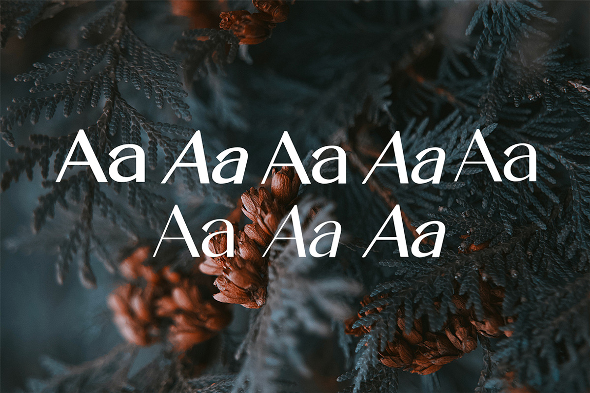 Headstock Sans Serif Family Font, a Sans Serif Font by UICreative (Photo 2 of 13)