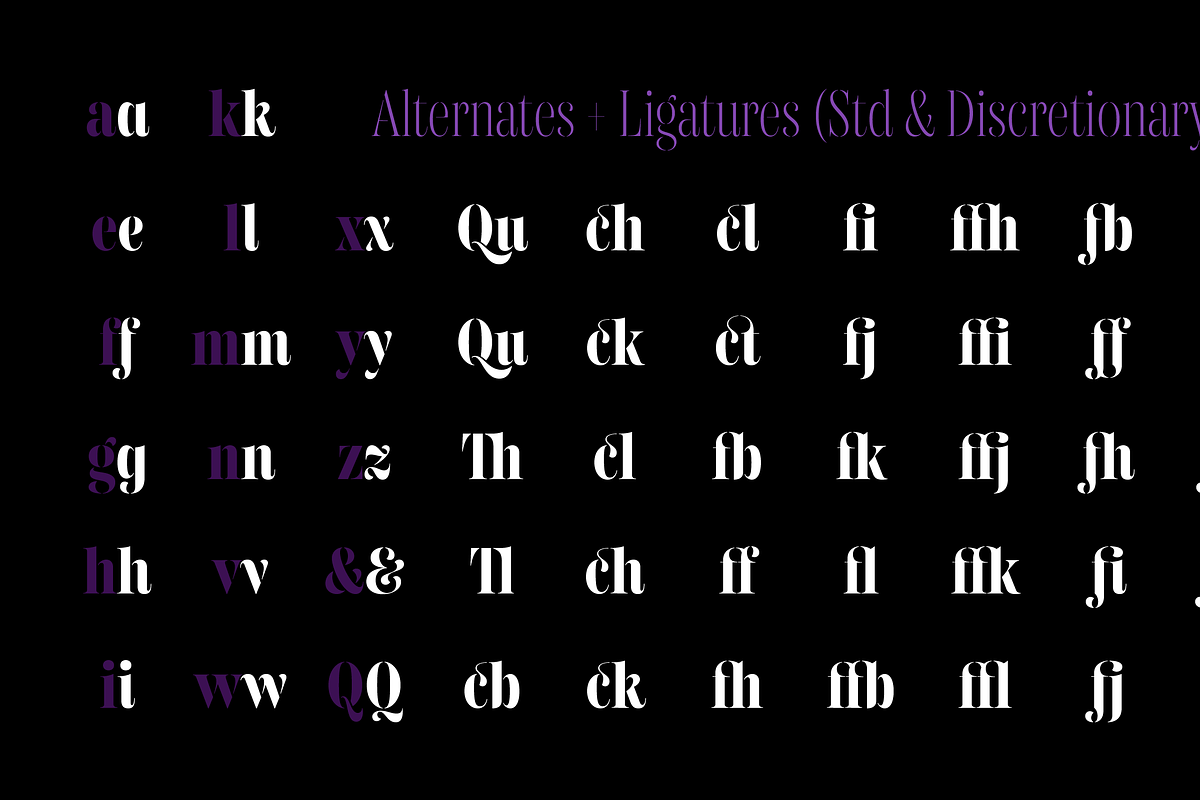 Gabriela Stencil Condensed, a Font by Lechuga Type (Photo 9 of 17)