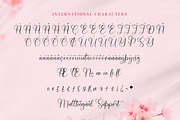 Shaquitta, a Script Font by Integritype Studio (Thumbnail 10 of 15)