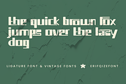 Classica Crastao Font, a Font by Erifqizefont (Thumbnail 13 of 15)