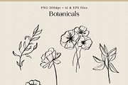 Flowers & Insects | Black Ink Art, an Illustration by amber&ink (Thumbnail 6 of 12)