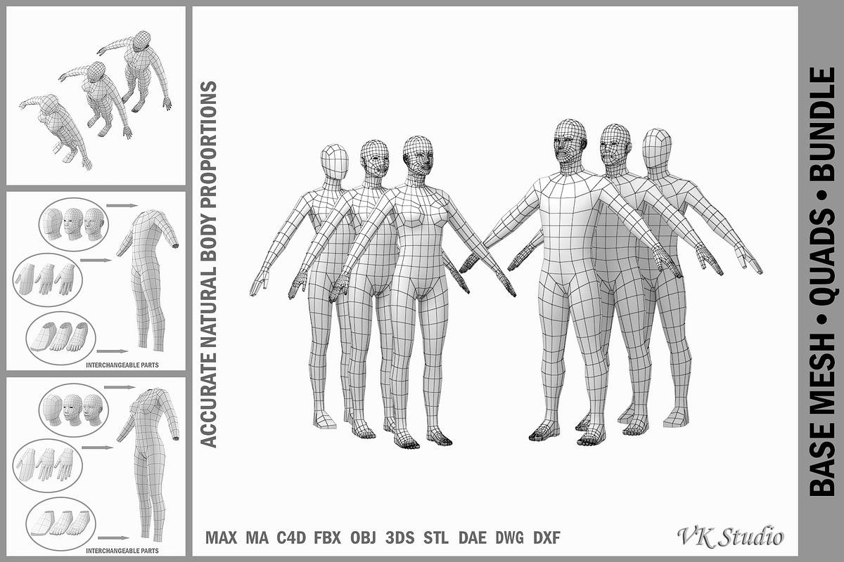 Female and Male Base Mesh A Pose, a Characters & Person 3D Model by VK Studio (Photo 1 of 5)