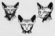 Sphynx Cat Illustration Pack, an Animal Illustration by Tekuni (Thumbnail 9 of 14)