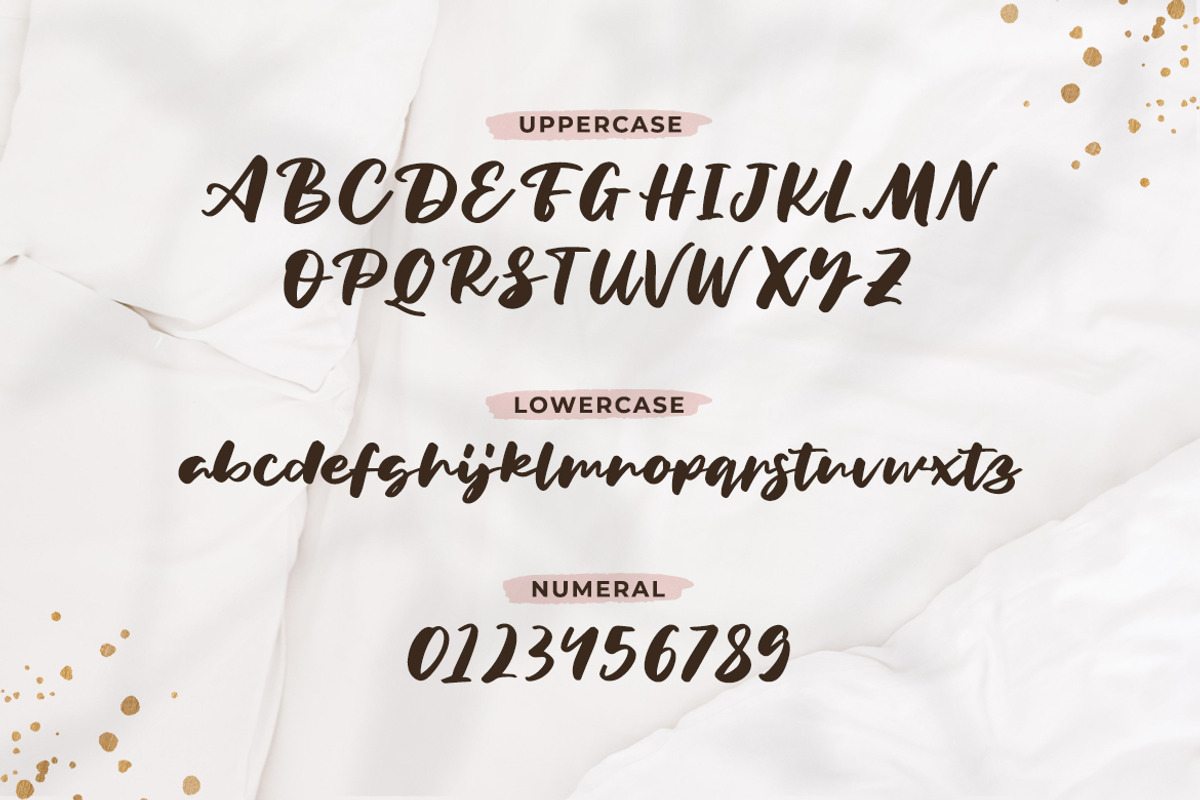 Rekan - Brush Script Font, a Script Font by Typefactoryco (Photo 2 of 8)