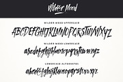 Wilder Mood, a Script Font by Aksa & Nusa Co. (Thumbnail 4 of 9)