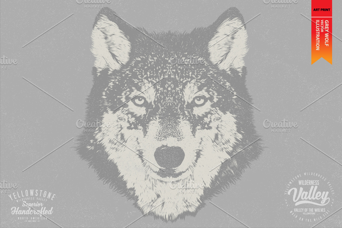 GREY WOLF - Vector illustration, an Animal Illustration by Artistic & Unique (Photo 4 of 12)