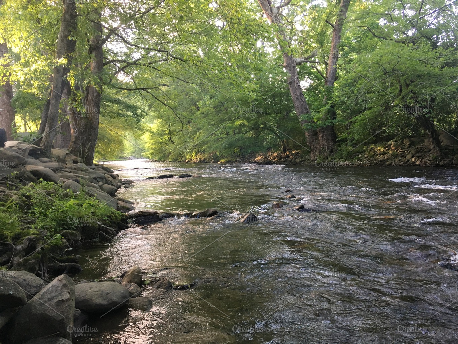 Mountain Creek in the Morning, a Nature Photo by jeffportaro