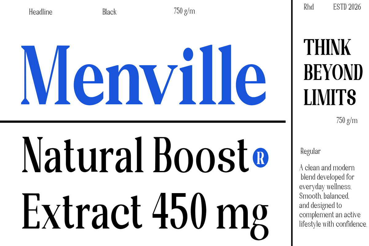 Randion, a Serif Font by StudioRhd (Photo 2 of 14)