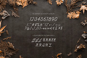Hellofolks - Monoline Script Font, a Script Font by ikiiko (Thumbnail 6 of 7)