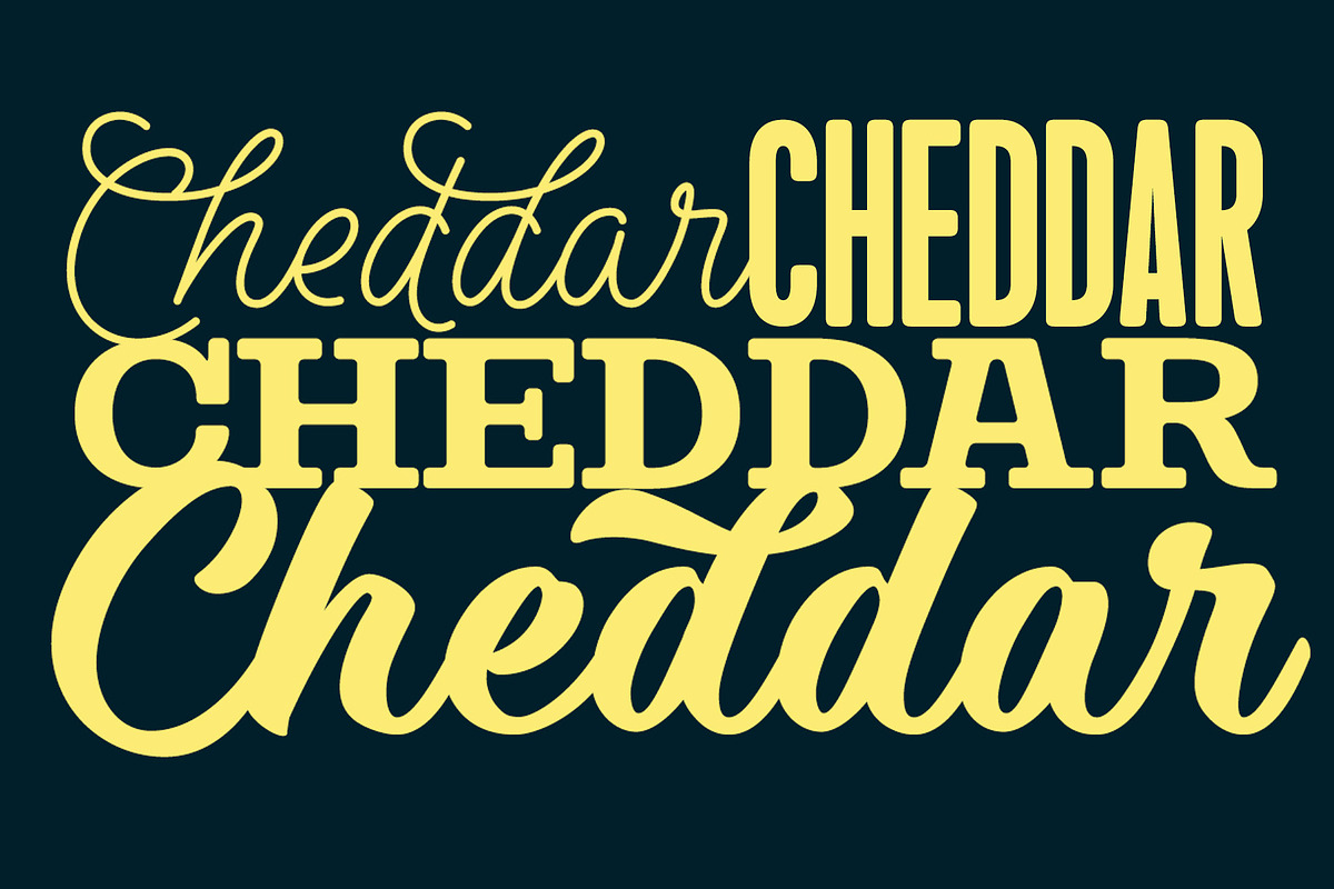Steak & Cheese Bundle, a Slab Serif Font by Fenotype (Photo 11 of 14)