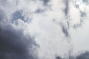 Textures of London, a Texture Graphic by Jackson Fish Market (Thumbnail 10 of 17)
