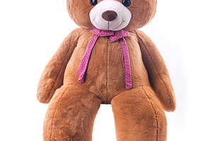 Teddy bear stock photo containing bear and teddy