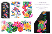 Birds of Paradise graphics/patterns, a Pattern Graphic by Salted Galaxy (Thumbnail 11 of 14)