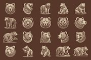 Vintage Hand-Drawn Brown Bear Design, an Animal Illustration by devastd (Thumbnail 3 of 10)