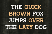 Emsix Champ - Vintage Retro Font, a Slab Serif Font by Viswal Studio (Thumbnail 5 of 12)