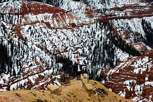 Man stands on a ledge amid snowy red canyons and pine forests in Utah USA. Zion, a Nature Photo by AS photostudio