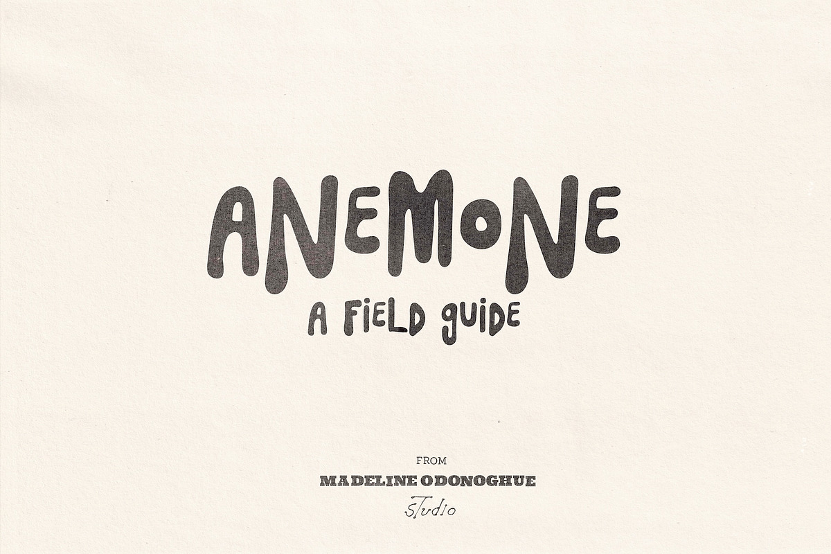 SeaFlower | Hand Drawn Surf Font, a Handwritten Font by Madeline ODonoghue Design (Photo 9 of 12)
