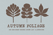 Autumn Foliage: 100 Leaves Pack, an Object Illustration by Veyla (Thumbnail 2 of 15)