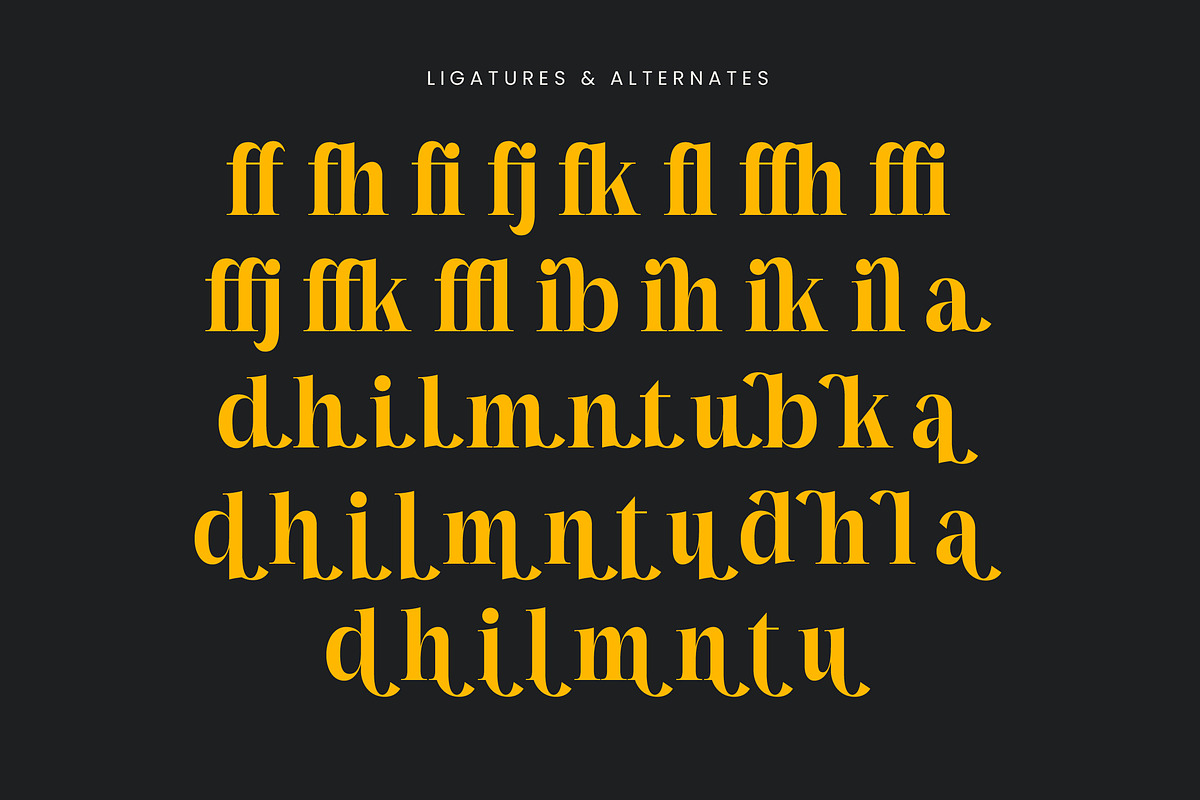 Mailyo Modern Serif Display Font, a Serif Font by timelesstype.co (Photo 19 of 20)
