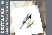 Bird Illustration Bundle, 21 PNG, an Animal Illustration by Enliven Designs (Thumbnail 8 of 8)