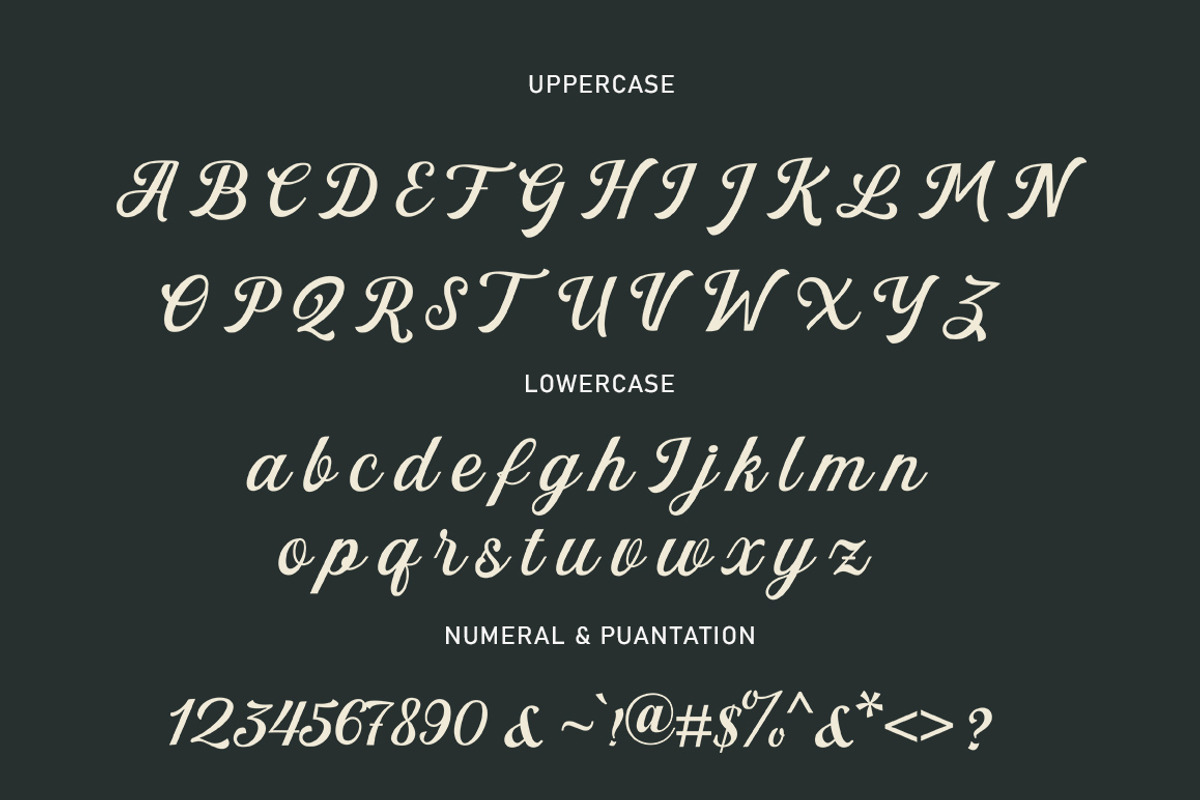 Trend Botuna, a Script Font by StudioRhd (Photo 8 of 9)