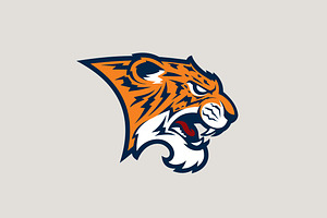 Tiger sport logotype.