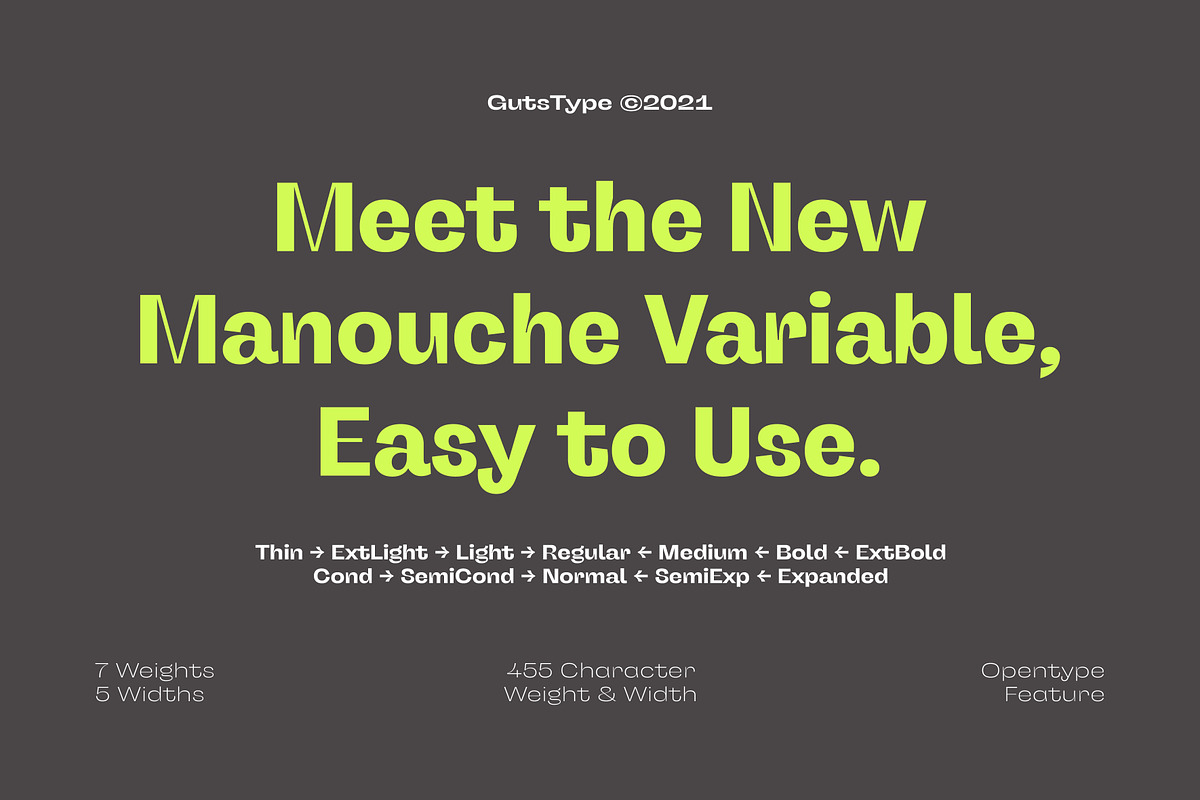 Manouche Font Family, a Sans Serif Font by Guts Type (Photo 2 of 12)