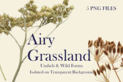 Airy Grassland — Umbels & Wild Forms, an Object Graphic by Aga Silva (Thumbnail 8 of 14)