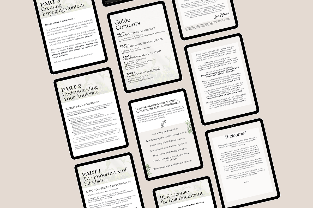 The Quick Instagram Growth Guide MRR, a Social Media Template by Design By Hira (Photo 4 of 9)