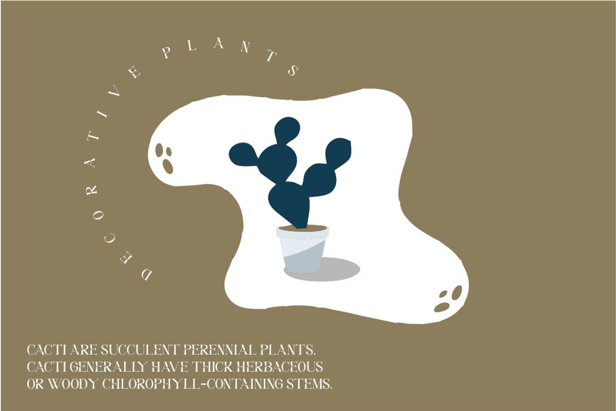 Medifa Font | Beautifull Serif Font, a Serif Font by WhymoreArt (Photo 5 of 10)