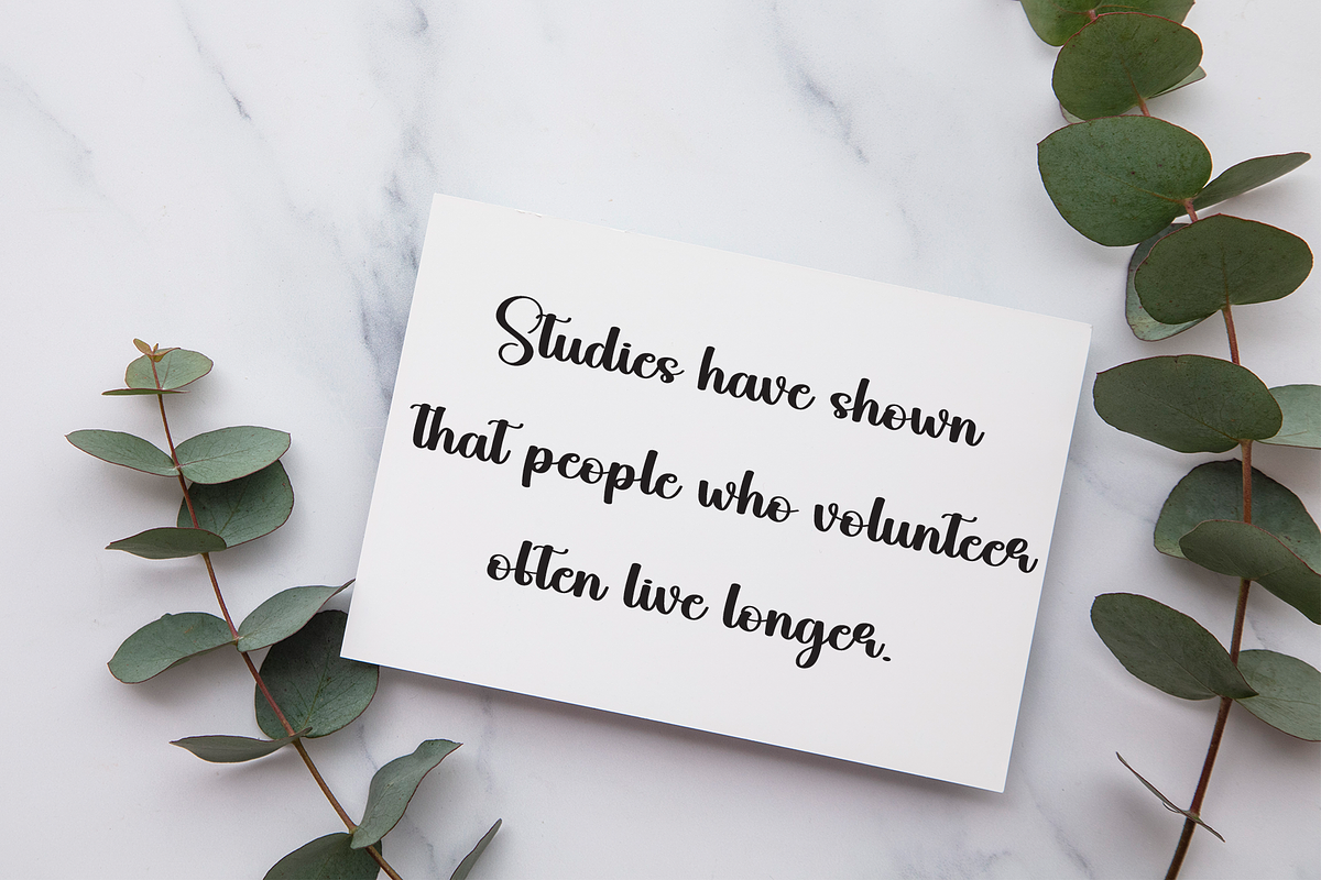 Misterday | Script Font, a Handwritten Font by Scratchones (Photo 4 of 9)