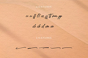 Poleemanik, a Script Font by Integritype Studio (Thumbnail 12 of 15)