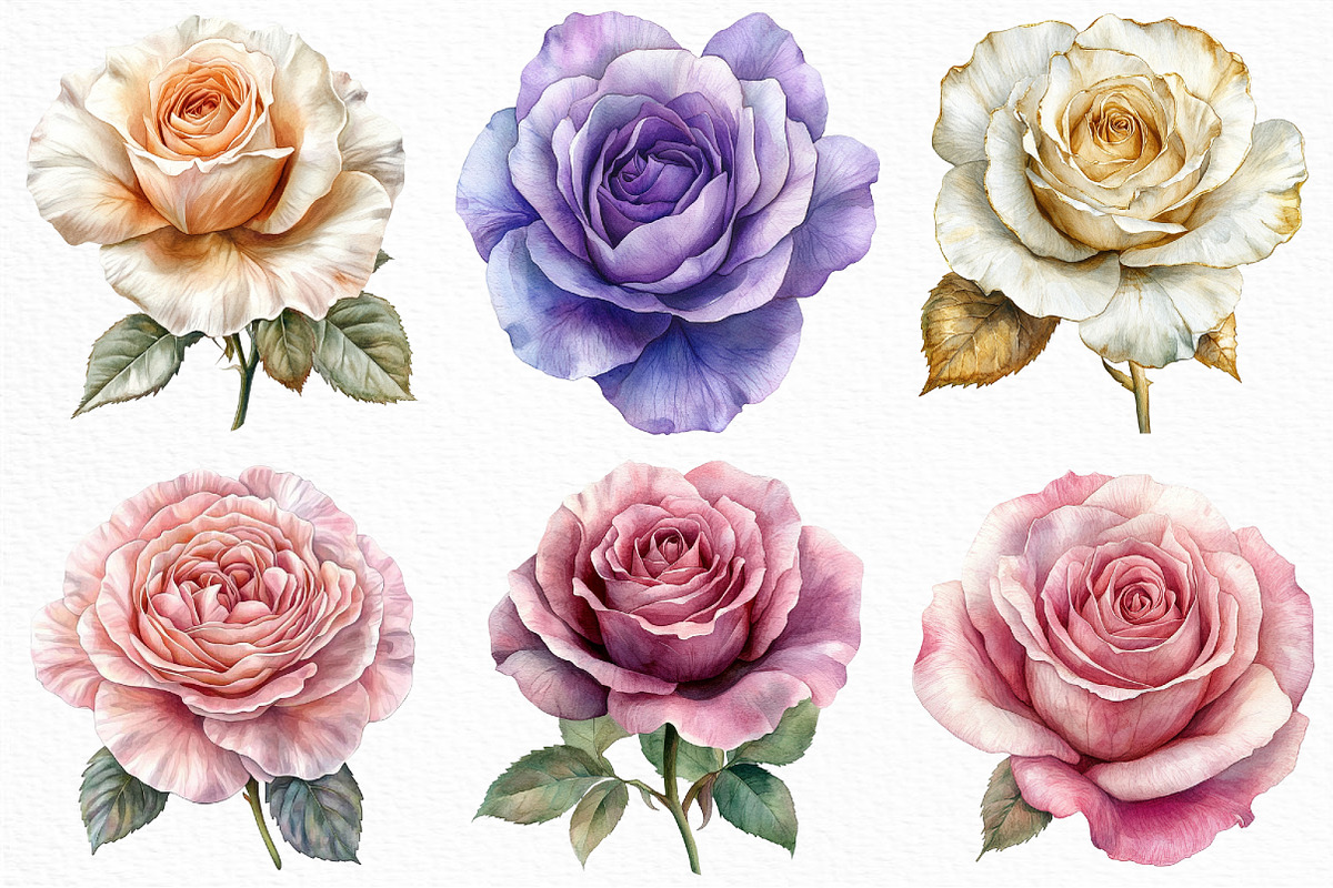 Rose Flower Clipart Bundle, an Illustration by Craft Nest (Photo 3 of 6)