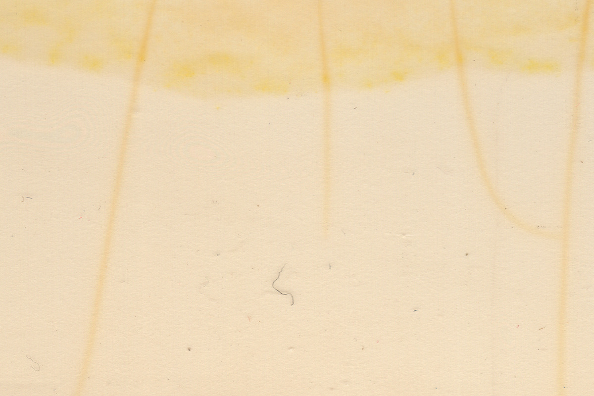 Expired instant film texture pack, a Texture Graphic by The Shop (Photo 13 of 15)