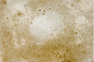 A close-up view captures rich beer, a Food & Drink Photo by darksoul72
