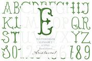 Monogram Watercolor Letters Green, a Decorative Illustration by LABFcreations (Thumbnail 4 of 4)