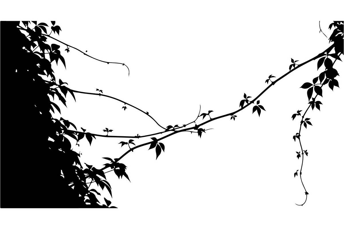 Hanging Vines Silhouette, an Object Graphic by Creativeshirt (Photo 2 of 20)