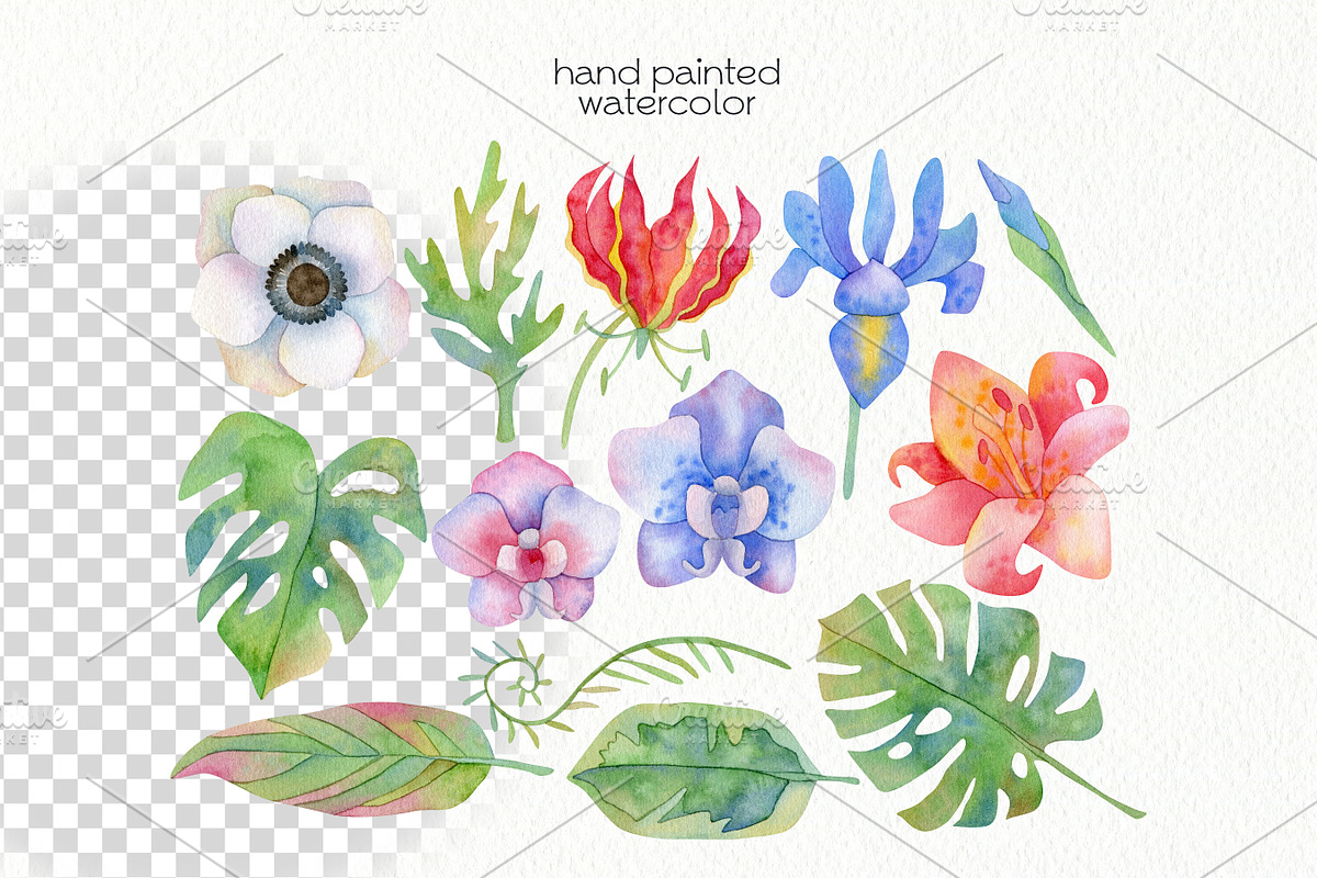 Watercolor Tropical Clipart, a Food Illustration by OllyKo Art (Photo 3 of 8)