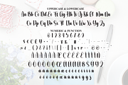 Birthday | Script Font, a Handwritten Font by Scratchones (Thumbnail 7 of 8)