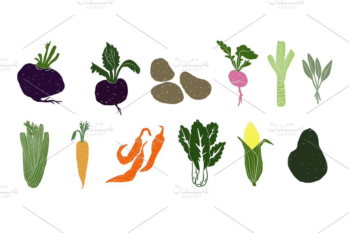 Autumn Bundle: Kitchen and Garden, a Food Illustration by Mii Lab (Photo 16 of 28)